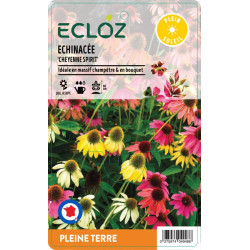 Echinacea sp. 'Cheyenne Spirit' ECLOZ