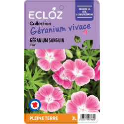 Geranium sanguineum 'Elke' ECLOZ