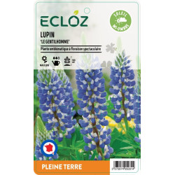 Lupinus russellii ‘Le Gentilhomme' bleu ECLOZ