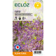 Limonium latifolium ECLOZ