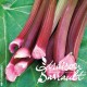 Rhubarbe (plante utile)