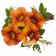 Calibrachoa orange